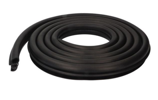 Door seal