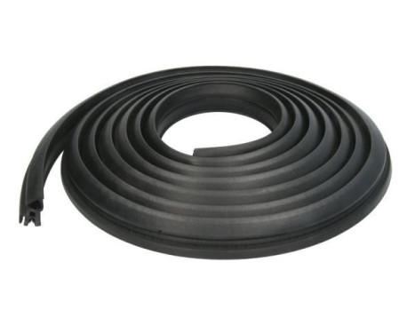 Door seal