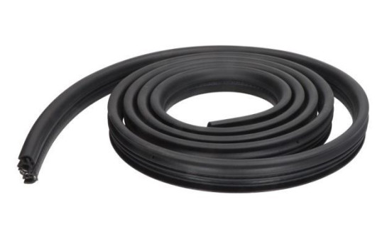 Door seal
