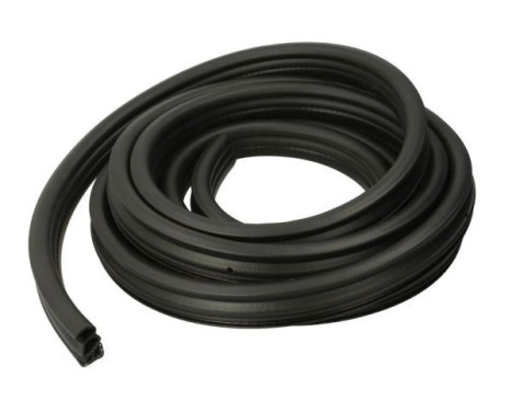 Door seal