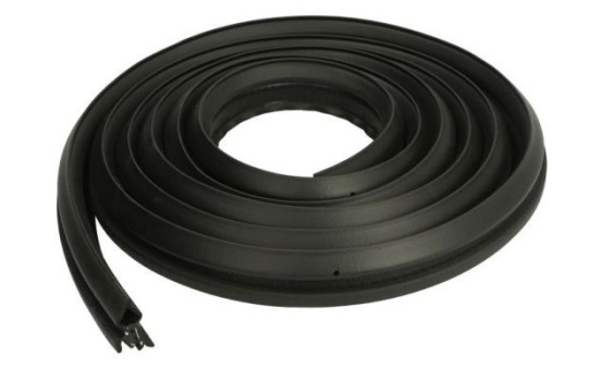 Door seal