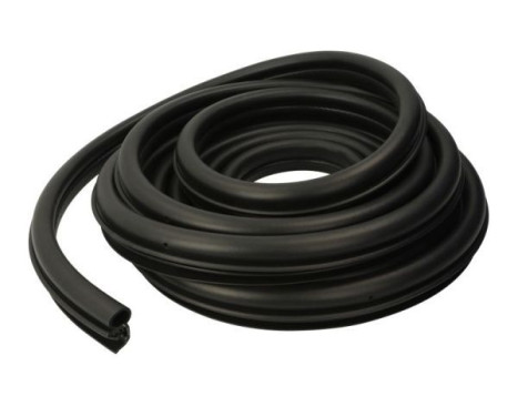 Door seal