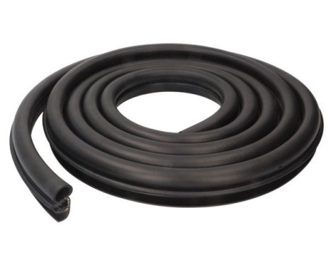 Door seal