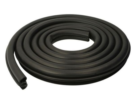 Door seal