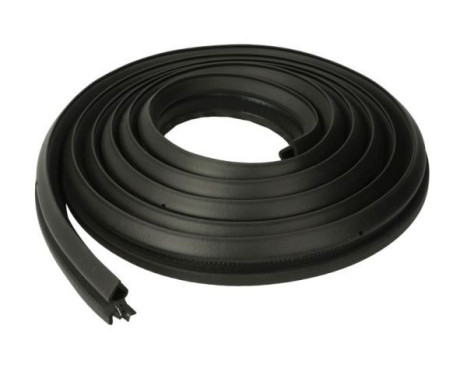 Door seal