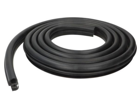 Door seal