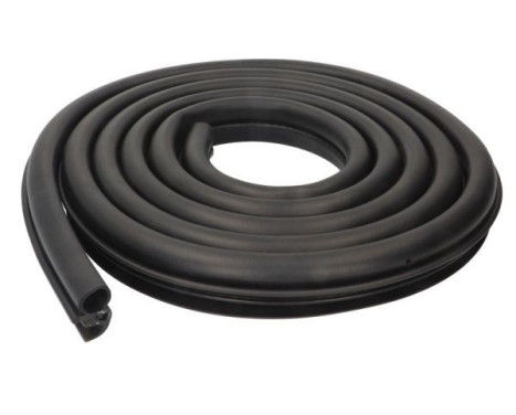 Door seal