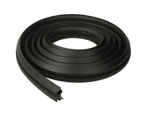 Door seal