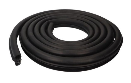 Door seal