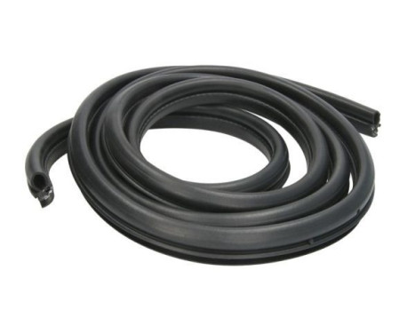 Door seal