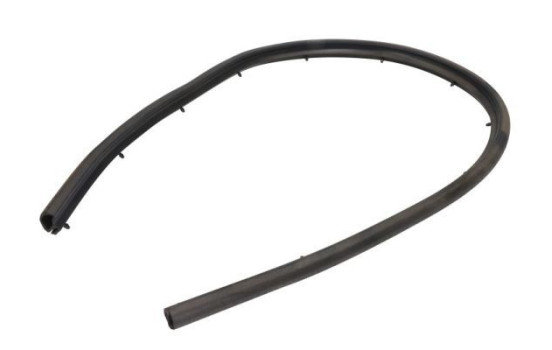 Door seal