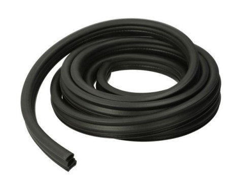 Door seal