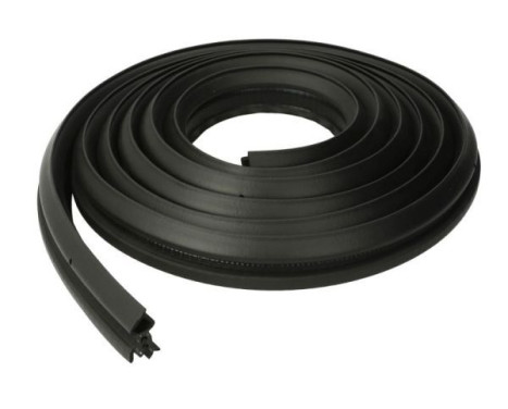 Door seal