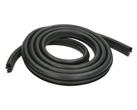Door seal