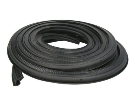 Door seal