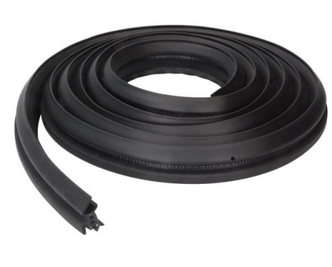 Door seal
