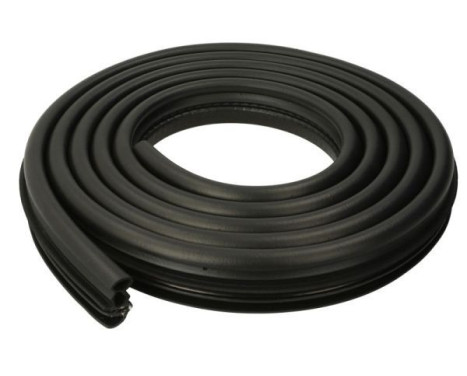 Door seal