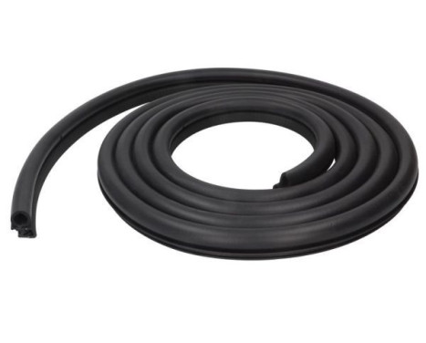Door seal