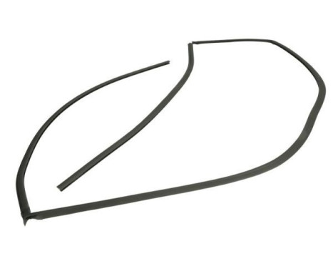Seal, windshield