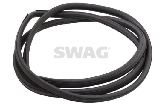 windshield seal