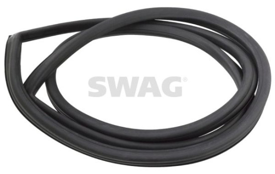 windshield seal