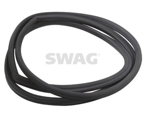 windshield seal