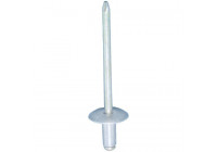 Blind rivet OEM: 164360 - 20 pieces