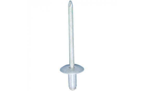 Blind rivet OEM: 164360 - 20 pieces