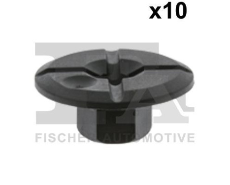 Clip, decorative/protective strip
