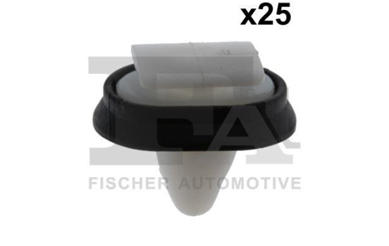 Clip, decorative/protective strip