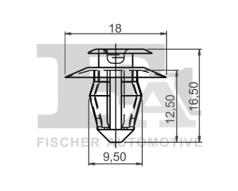 Clip, decorative/protective strip