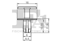 Clip, decorative/protective strip