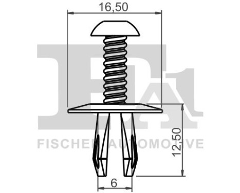 Clip, decorative/protective strip