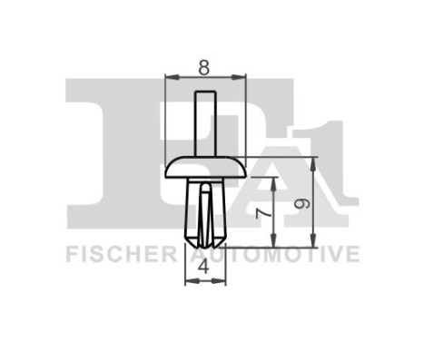 Clip, decorative/protective strip