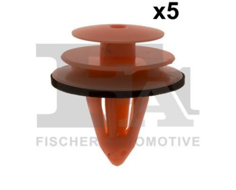 Clip, decorative/protective strip