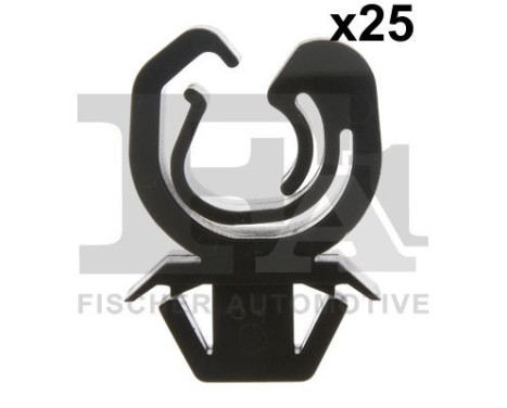 Clip, decorative/protective strip