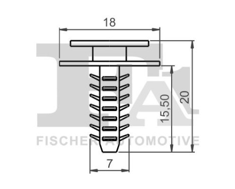 Clip, decorative/protective strip
