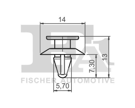 Clip, decorative/protective strip