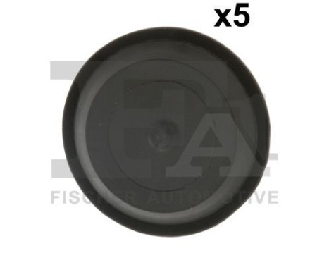 Clip, decorative/protective strip