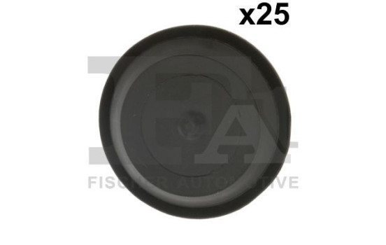 Clip, decorative/protective strip