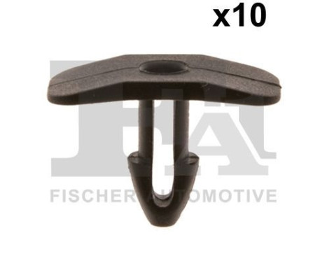 Clip, decorative/protective strip