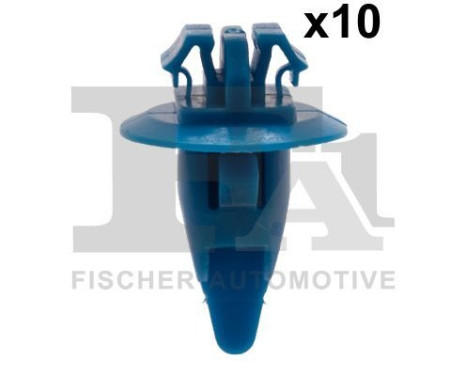 Clip, decorative/protective strip