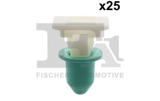 Clip, decorative/protective strip