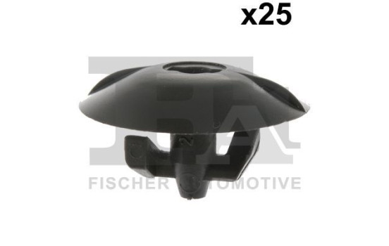 Clip, decorative/protective strip