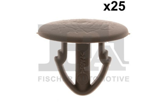 Clip, decorative/protective strip