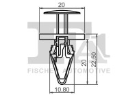 Clip, decorative/protective strip