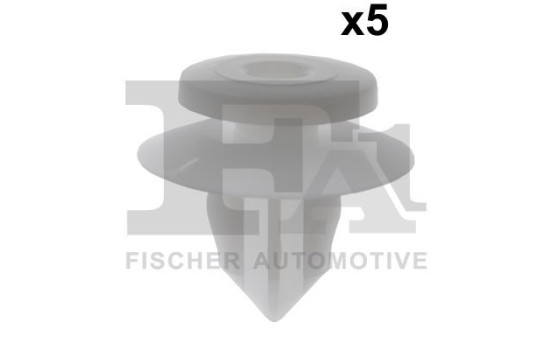 Clip, decorative/protective strip