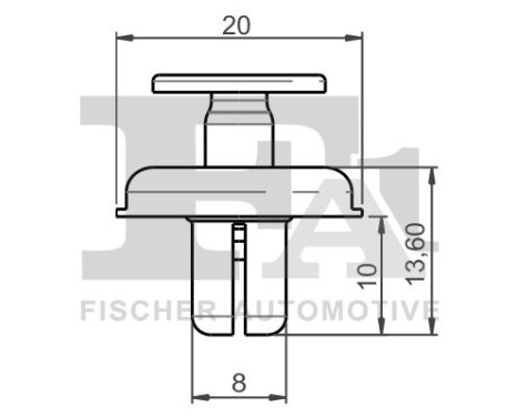 Clip, decorative/protective strip