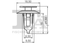 Clip, decorative/protective strip