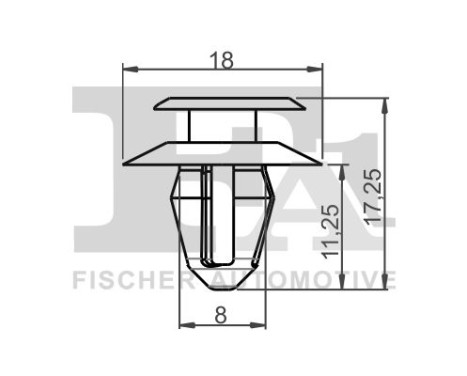 Clip, decorative/protective strip